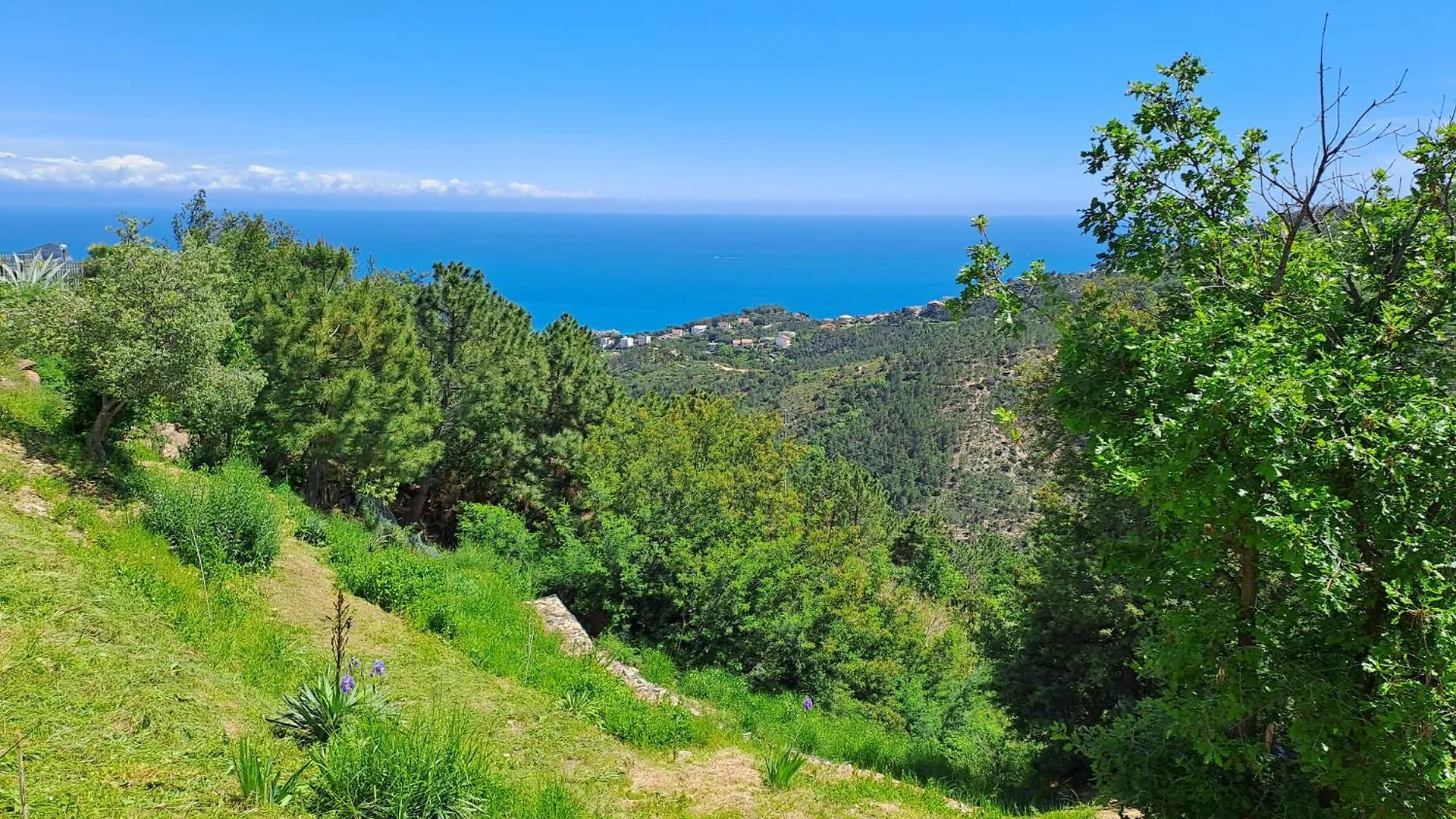 Bed and Breakfast Antemare Noli Italia